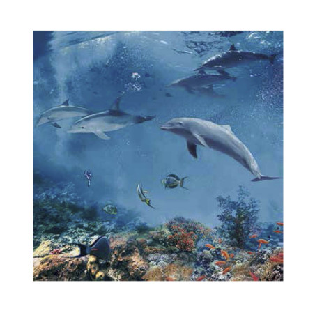 COMPOSICION 13 PARED PASTA ROJA 100 x 100 CM