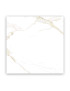 NAOS GOLD BRILLO 60.5X60.5 SOL – MUR GRÈS CÉRAME