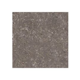 VERITY NATURAL 60X60 GRÈS CÉRAME SOL-MUR