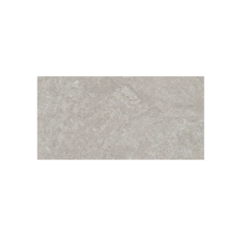 RESINE GREY 60X120 PORCELAINE FLOOR-WALL