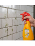 SIKA STOP GREEN 1L GREEN STAINS CLEANER