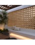 CELOSIA AGADIR 10X10